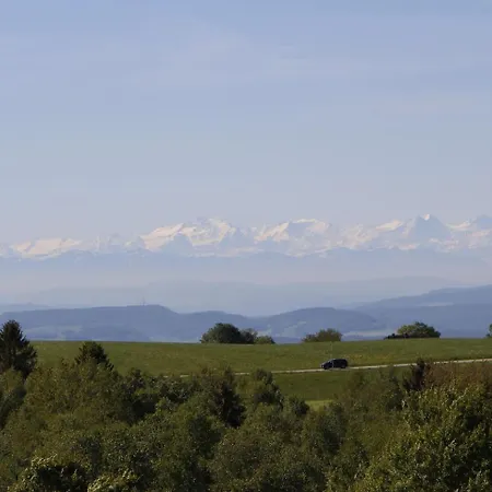 Black Forest Fuehl Dich Wohl Apartment *